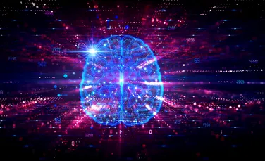 Neuroplasticitatea: minunea adaptabilității creierului uman