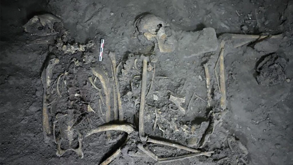 Legăturile dintre două mari puteri antice, dezvăluite de rămășițele unei maimuțe