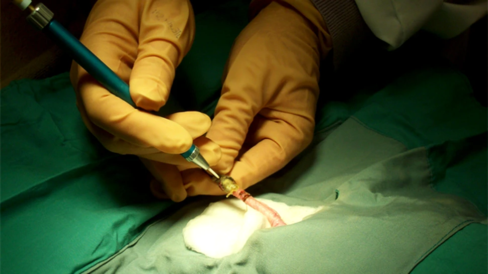 Un fost pompier american, beneficiarul celui mai extins transplant de faţă din lume: ”Acest chip este al meu” FOTO + VIDEO