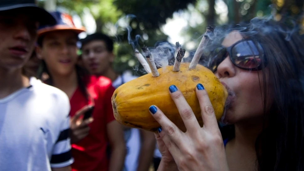 Misterul fenomenului „munchies” a fost descifrat. De ce provoacă marijuana poftă de mâncare?