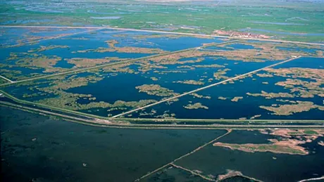 Dezastru ecologic într-un paradis al păsărilor din SUA. Ce s-a întâmplat?