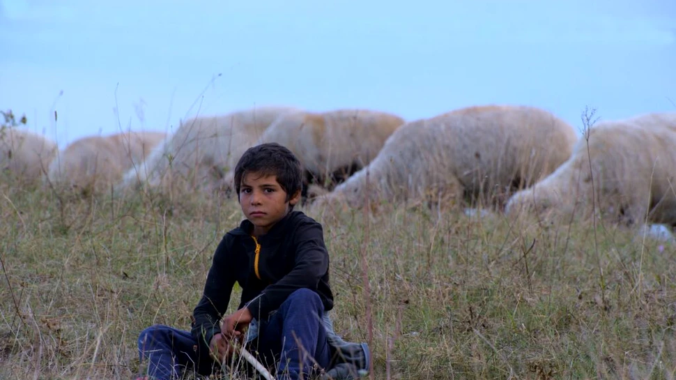 Un studiu Salvați Copiii arată o diferență majoră între mediul rural și cel urban din România