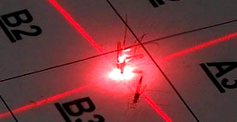 Arma mortala: laserul intra in lupta cu tantarii