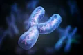 Cromozomul Y uman a fost secvențiat pentru prima dată