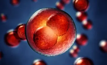 PREMIERĂ: ADN-ul din embrionul uman a fost modificat de către un cercetător suedez