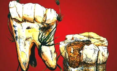 În urmă cu 3,5 milioane de ani, strămoșii noștri erau vegetarieni, relevă un nou studiu