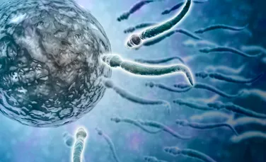 Un bărbat care are deja cel puțin 550 de copii nu mai are voie să doneze spermă