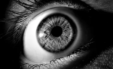 O nouă procedură pentru tratarea bolilor de ochi? Cercetătorii au dezvoltat un microac demn de filme de groază