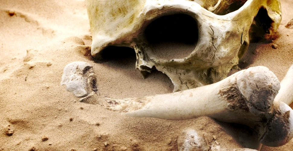 Mormintele unor războinici celţi au fost descoperite în Dolj