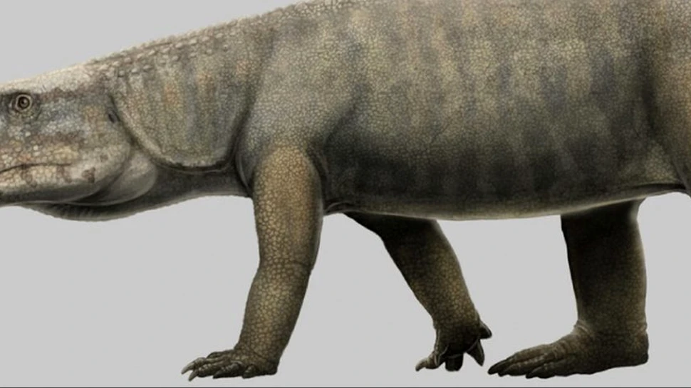 Fosile excavate în anii 1960 reprezintă veriga lipsă din evoluția crocodililor