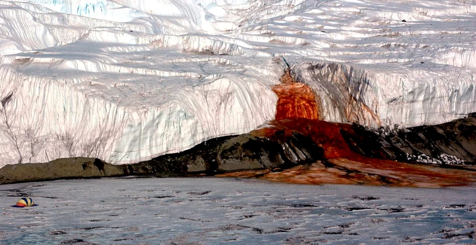 O vastă reţea de ape sărate a fost descoperită sub stratul de gheaţă din Antarctica