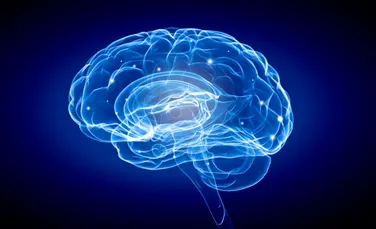 Un studiu arată un fenomen bizar la nivelul creierului odată ce îmbătrânim, iar scopul său a fost în sfârşit înţeles de cercetători