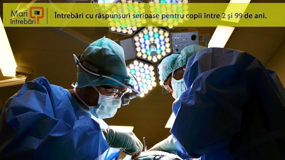 Cât poate rezista un organ în afara corpului înainte de a fi transplantat?