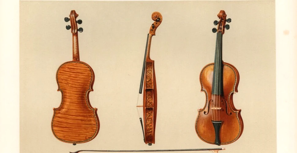 O vioară Stradivarius rară din 1679, scoasă la licitație. Suma la care ar putea ajunge