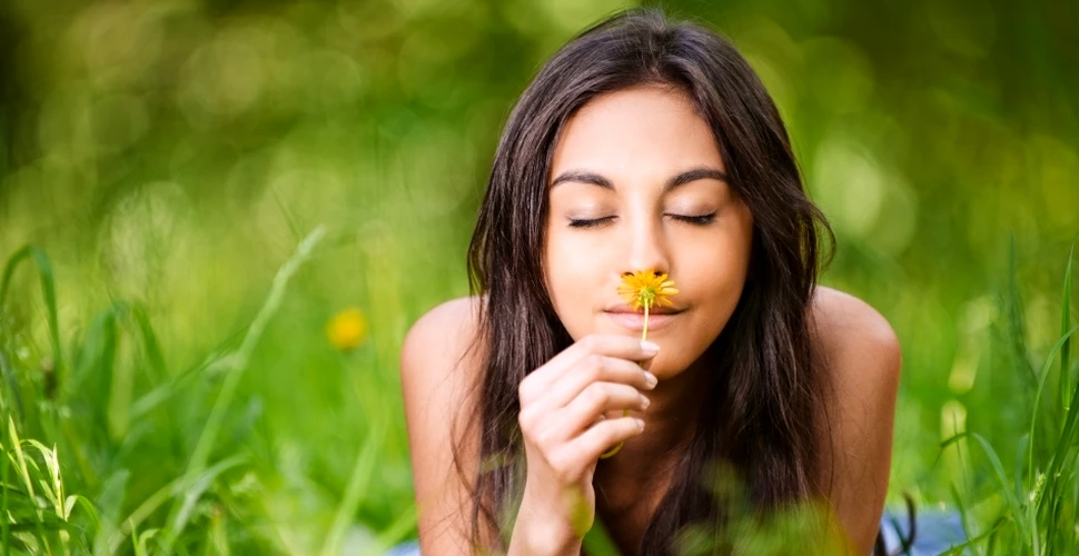 Cum se transformă mirosurile în amintiri pe termen lung?