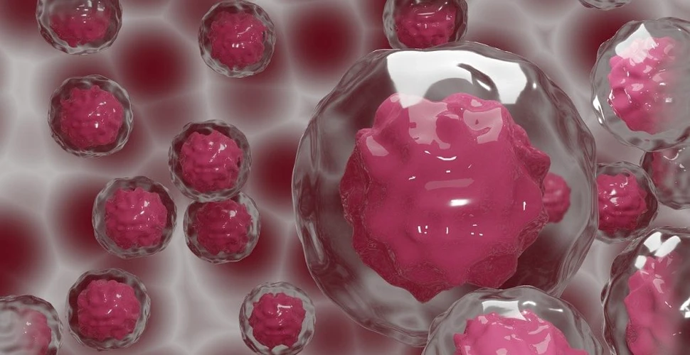Reușită. Cercetătorii au creat celule stem pornind de la celulele din sânge
