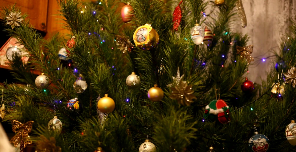 Cine a inventat luminițele de Crăciun? O scurtă istorie