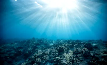 Încălzirea oceanelor distruge paraziții. Ce efecte poate avea fenomenul?