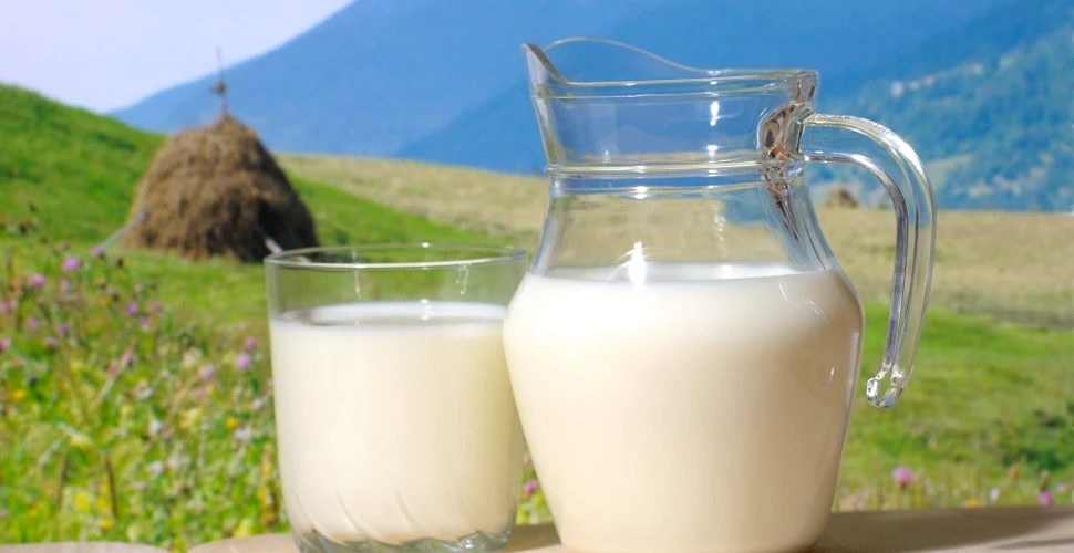 Ce poate face laptele pentru sănătatea femeilor?