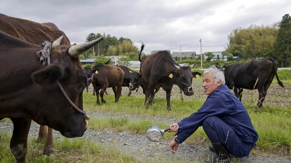 Singurul om care trăieşte în zona radioactivă Fukushima. Motivul este impresionant