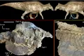 Dinozaurii mumificați sunt surprinzător de comuni și acum știm de ce