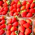 Alimentele din afara Uniunii Europene depășesc tot mai des limitele de pesticide