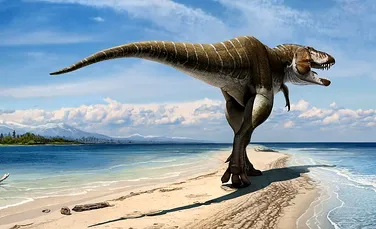 A fost descoperit strămoşul furios al lui Tyrannosaurus rex, dinozaurul numit „regele sângelui vărsat” (FOTO/VIDEO)