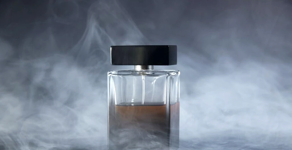 Inteligența Artificială ajută parfumierii să creeze arome personalizate