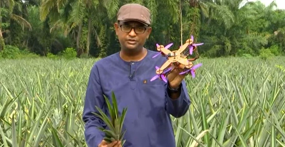 Invenţie surprinzătoare a cercetătorilor din Malaezia. Dronă biodegradabilă, din frunze de ananas