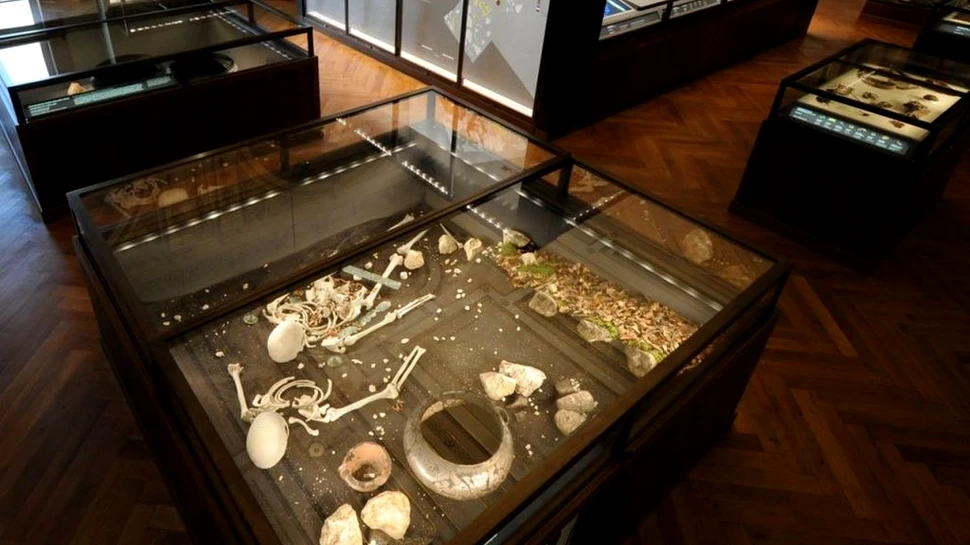 Un mormânt descoperit pe malul Dunării a dezvăluit cei mai vechi gemeni identici cunoscuți până acum