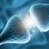 Cercetătorii au inversat leziunile sinapselor cauzate de Alzheimer la șoareci