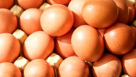 Test de cultură generală. Din ce este făcută coaja de ou?