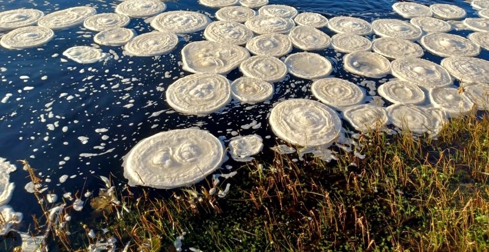„Clătite de gheață” ciudate, observate pe un râu din Scoția