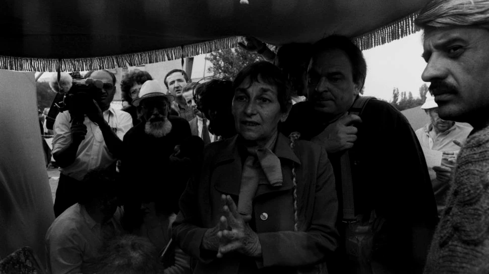 Fundaţie în memoria Doinei Cornea