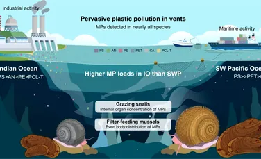 Microplasticele ajung chiar și la 2.000 de metri sub suprafața oceanului, arată un nou studiu