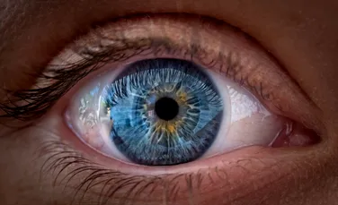 Un nou studiu arată că ochiul focalizează folosind și semnale de culoare, nu doar claritatea