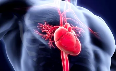 Inovaţie revoluţionară! Un plasture implantat în inimă ar putea ajuta oamenii care au suferit un infarct – FOTO