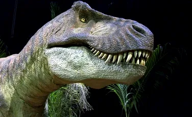 A fost descoperit cel mai vechi reprezentant al unei specii de crocodili. A trăit în urmă cu 170 de mii de ani şi era asemănător cu T. Rex