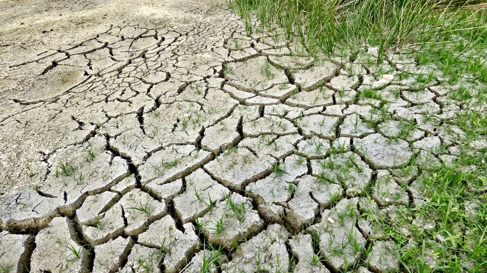 Trei miliarde de oameni ar putea avea de înfruntat temperaturi ca în Sahara peste 50 de ani