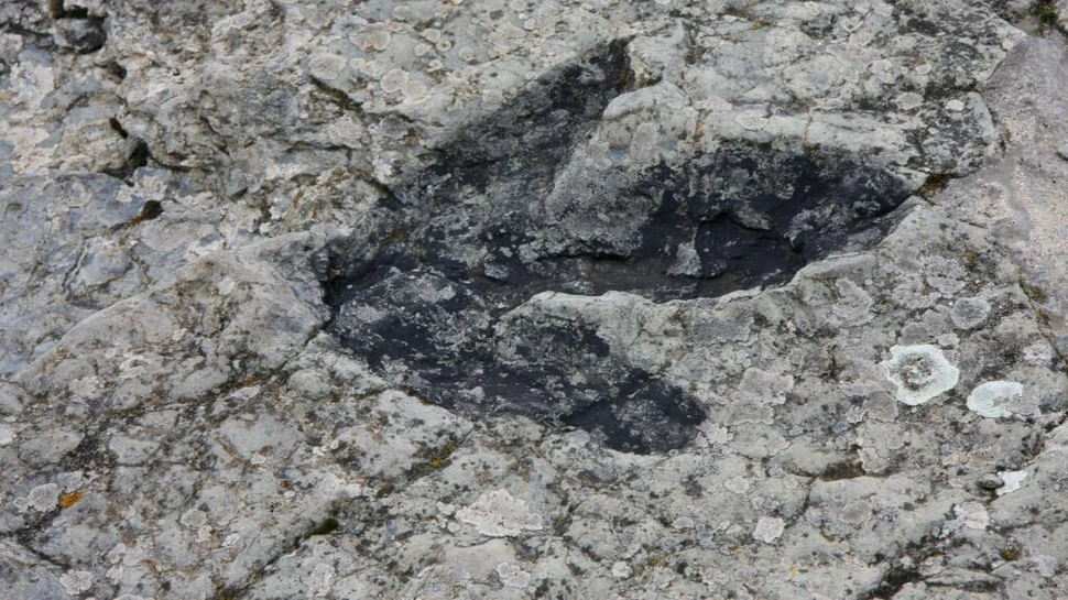 O nouă specie de dinozaur a fost descoperită în Geoparcul Internațional UNESCO Țara Hațegului