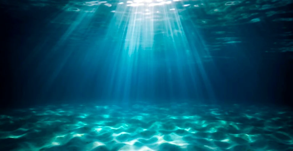 Oceanele lumii se întunecă, dezvăluie un studiu îngrijorător