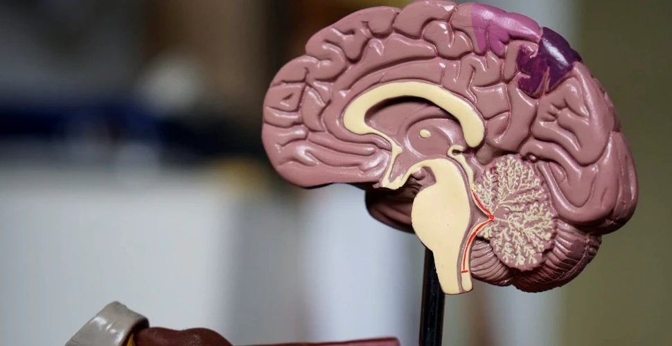 Cercetătorii pot îmbunătăți funcționarea creierului prin stimularea cerebrală