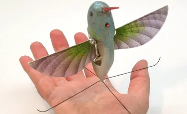 Avion spion de dimensiunile unei păsări colibri