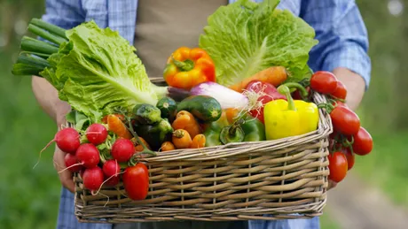 Studiu: Schimbările climatice afectează calitatea nutrițională a culturilor alimentare