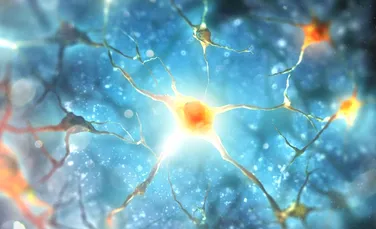 În premieră, oamenii de știință au reușit să vadă cum sunt eliminați din creier neuronii morți