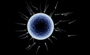 Revoluţie în contracepţie: a fost concepută prima pilulă non-hormonală pentru bărbaţi!