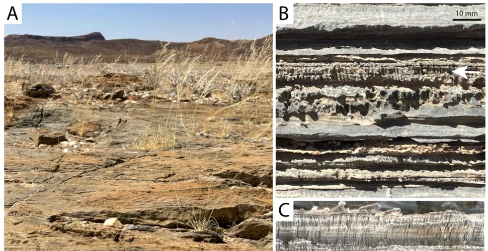 O formă de viață necunoscută a creat structuri în deșertul Namib cu peste un milion de ani în urmă