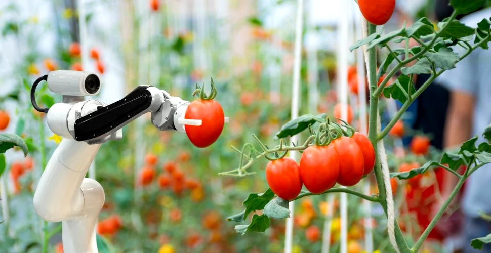 Care sunt riscurile utilizării inteligenței artificiale pentru a ne cultiva hrana?