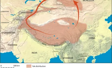 „Mumiile” înghețate ale Imperiului Mongol, dezvăluite de permafrostul care se topește