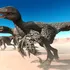 Penele de dinozaur fosilizate dezvăluie proteine conservate de milioane de ani